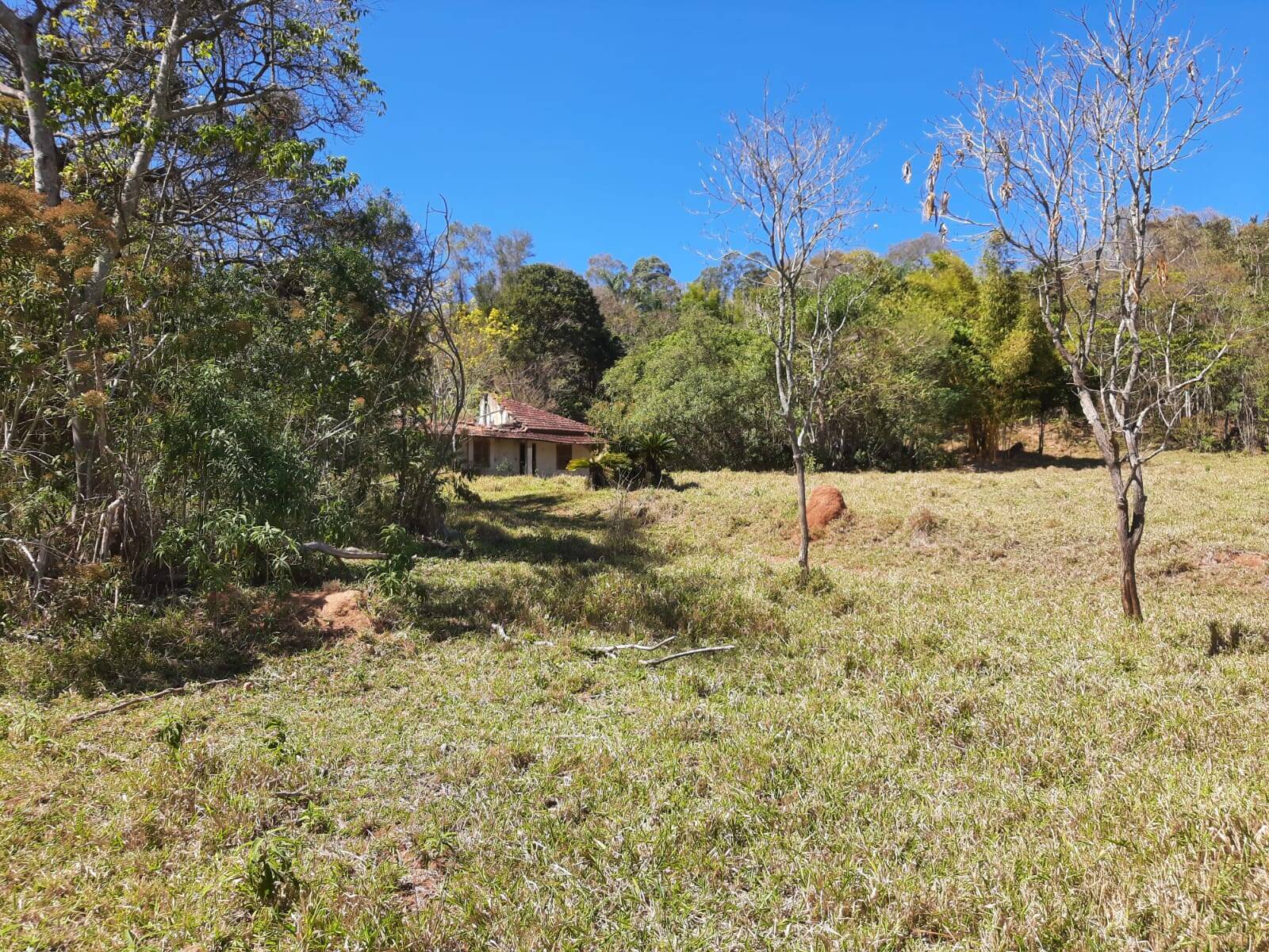 #220 - Terreno Acima de 20.000 m² para Venda em Bragança Paulista - SP