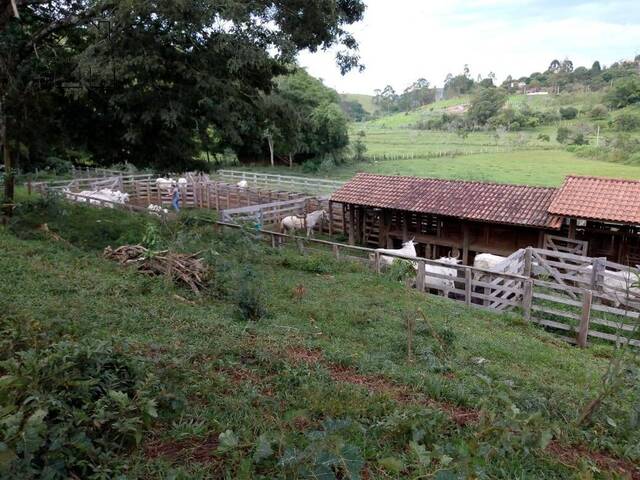 #77 - Sítio para Venda em Cambuí - MG