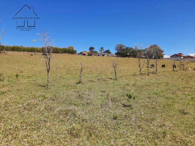 #89 - Terreno Acima de 20.000 m² para Venda em Bragança Paulista - SP - 3