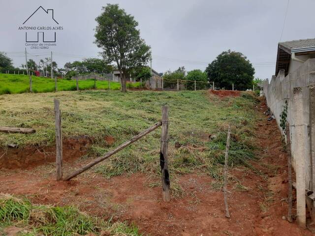 #146 - Terreno para Chácara para Venda em Bragança Paulista - SP - 2