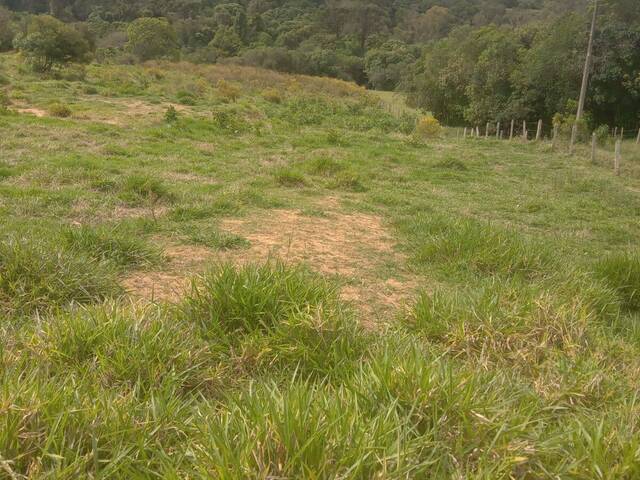 Venda em Centro - Pedra Bela