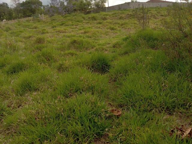 #180 - Terreno para Chácara para Venda em Pedra Bela - SP - 2