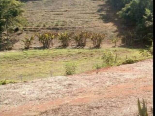 #181 - Terreno para Chácara para Venda em Bragança Paulista - SP - 3