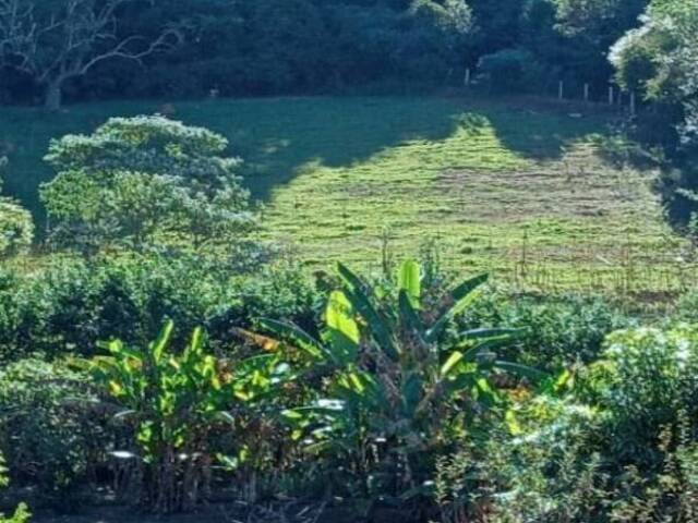 #181 - Terreno para Chácara para Venda em Bragança Paulista - SP - 2