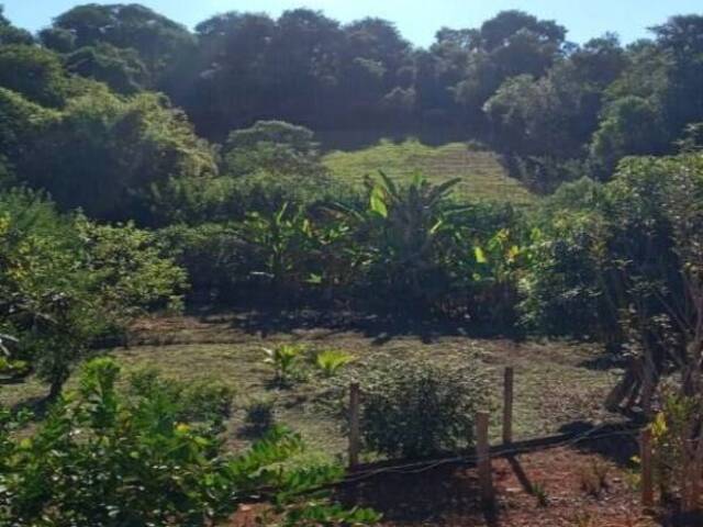 #181 - Terreno para Chácara para Venda em Bragança Paulista - SP - 1