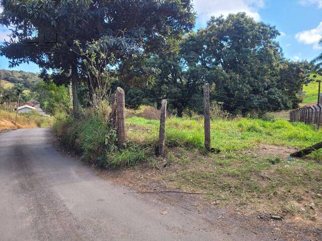 #168 - Terreno para Chácara para Venda em Bragança Paulista - SP - 3