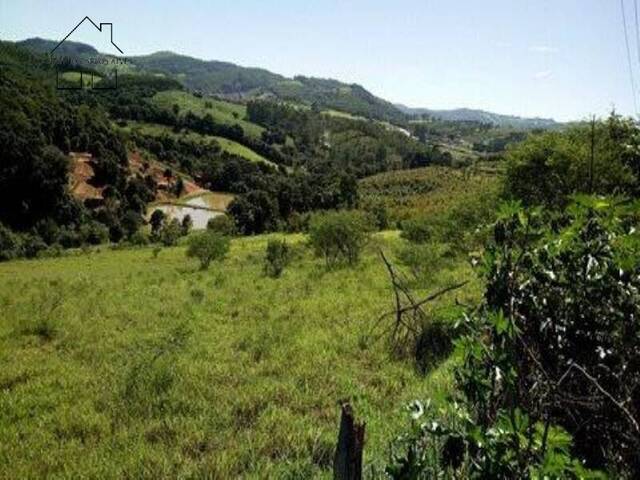 #193 - Terreno Acima de 20.000 m² para Venda em Pedra Bela - SP - 1