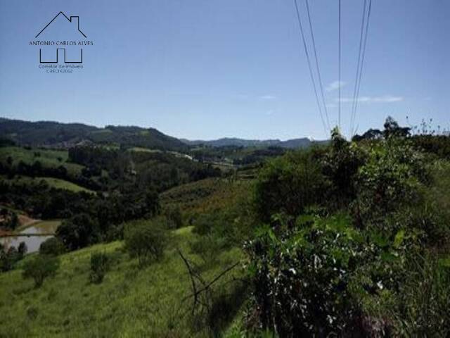 #193 - Terreno Acima de 20.000 m² para Venda em Pedra Bela - SP - 2