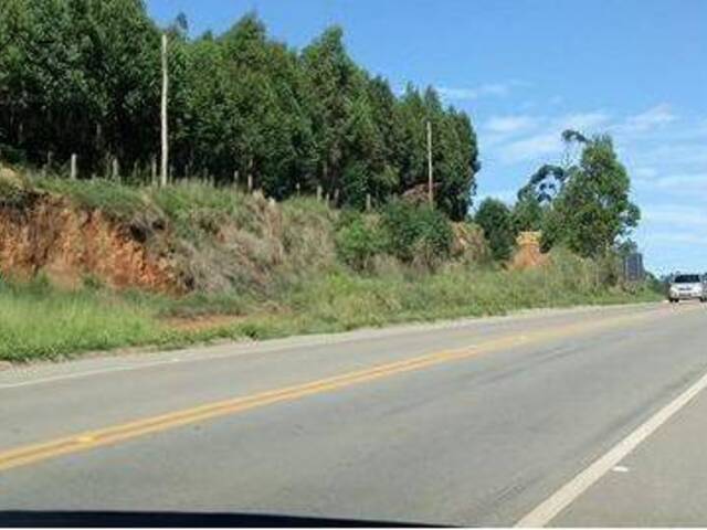 #194 - Terreno Acima de 20.000 m² para Venda em Pedra Bela - SP