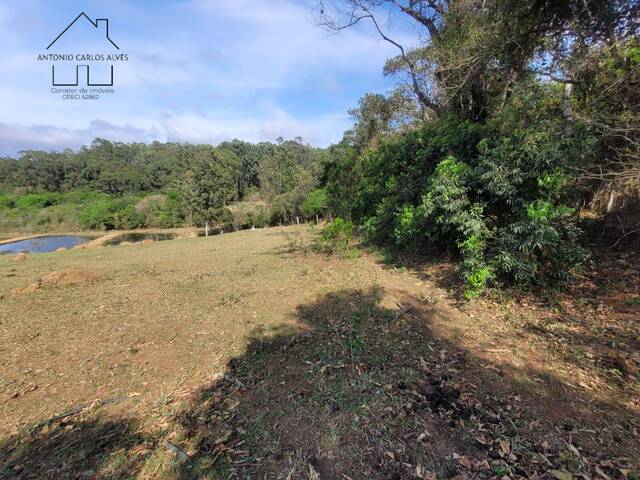 #86 - Terreno Acima de 20.000 m² para Venda em Bragança Paulista - SP - 2