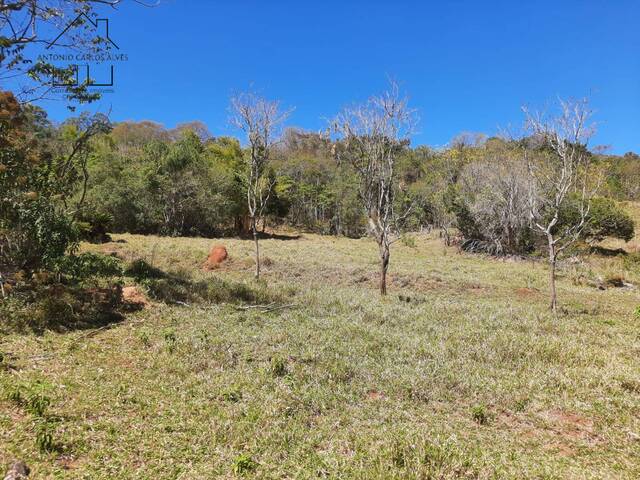 #220 - Terreno Acima de 20.000 m² para Venda em Bragança Paulista - SP - 3