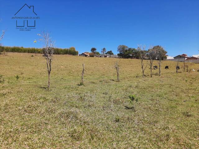 #220 - Terreno Acima de 20.000 m² para Venda em Bragança Paulista - SP - 2