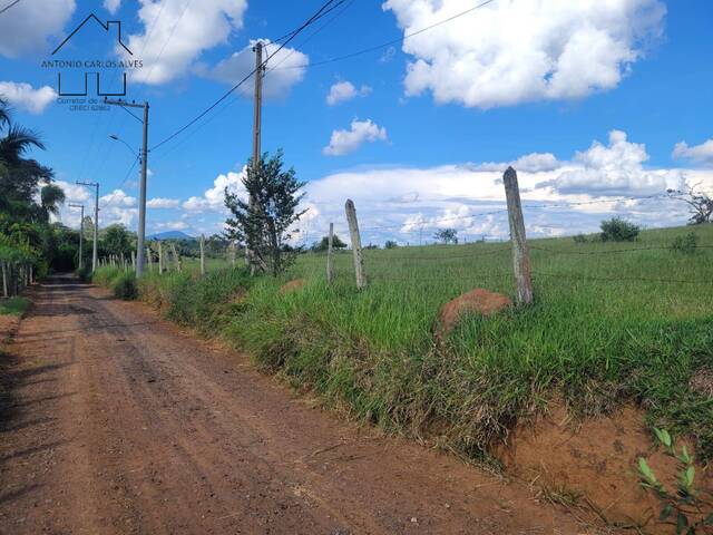 #234 - Sítio para Venda em Bragança Paulista - SP - 3