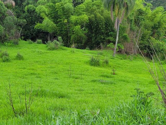 #273 - Terreno para Venda em Bragança Paulista - SP - 2