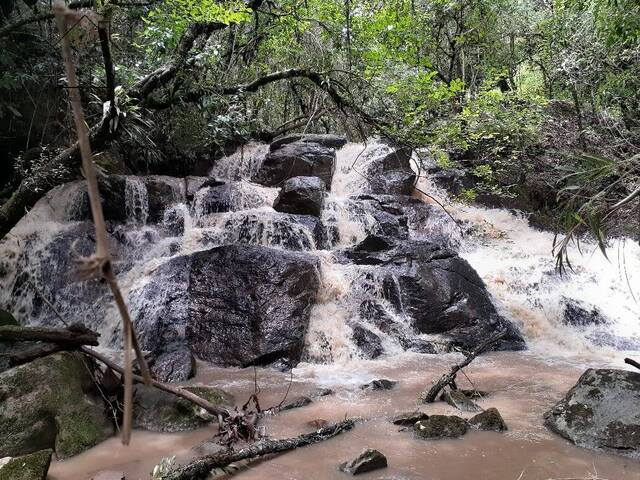 #276 - Sítio para Venda em Pinhalzinho - SP - 2