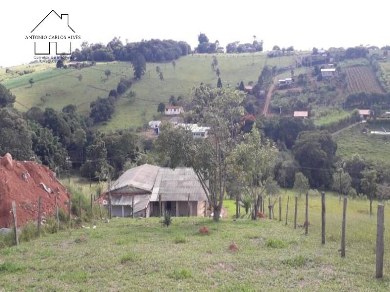 Fazenda à venda com 3 quartos, 200m² - Foto 11