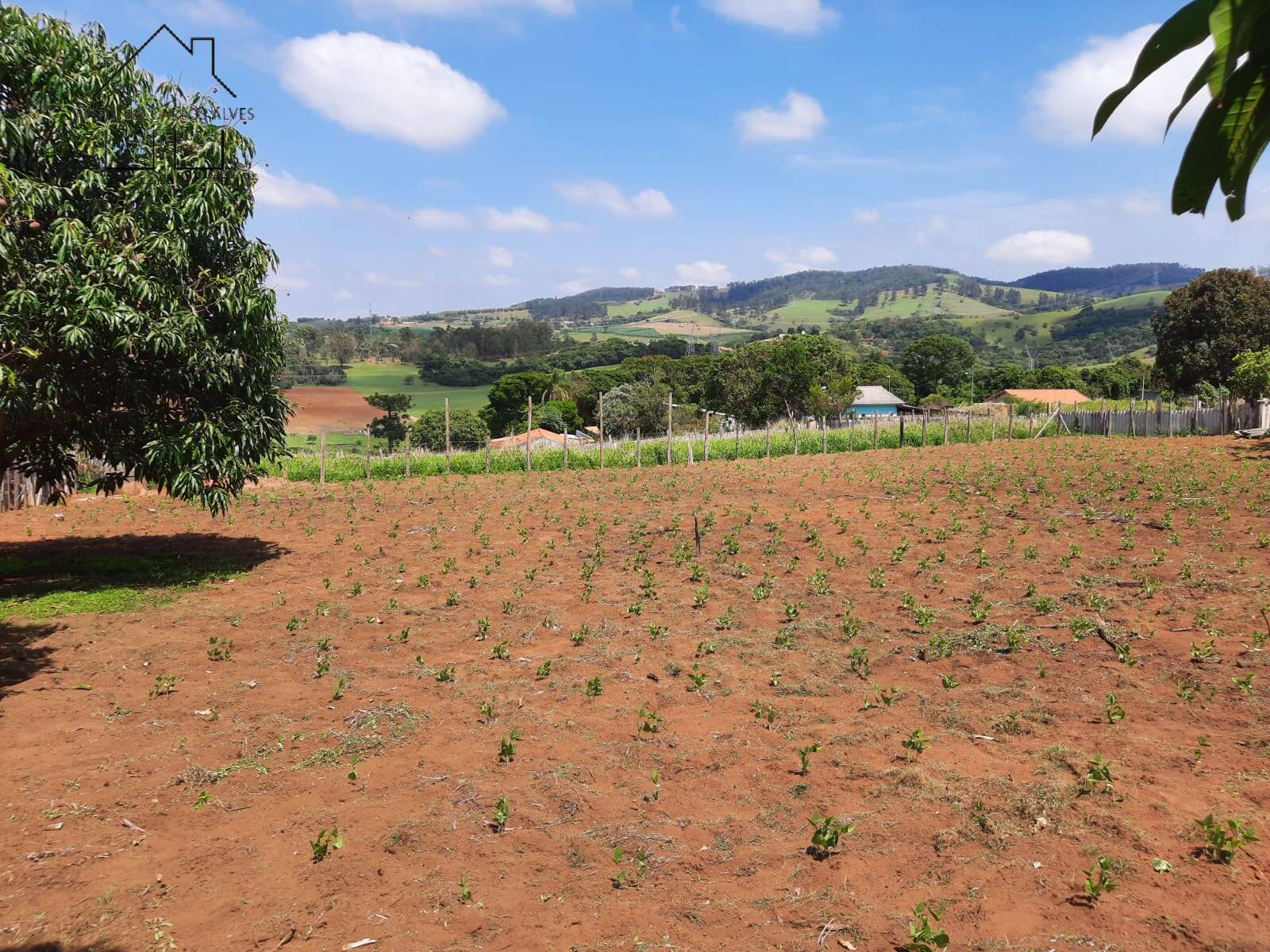 Fazenda à venda com 2 quartos, 128m² - Foto 31