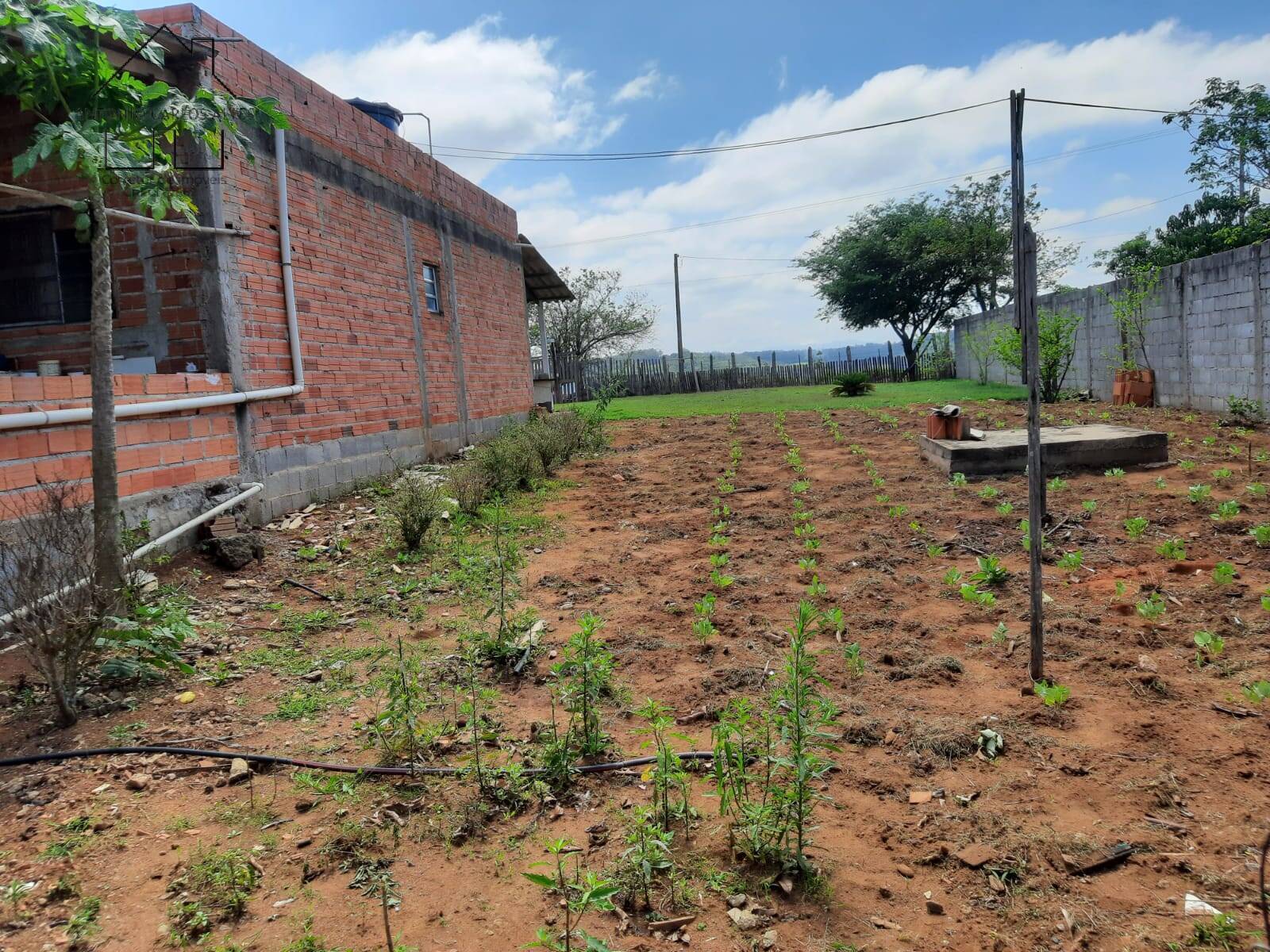 Fazenda à venda com 2 quartos, 128m² - Foto 30