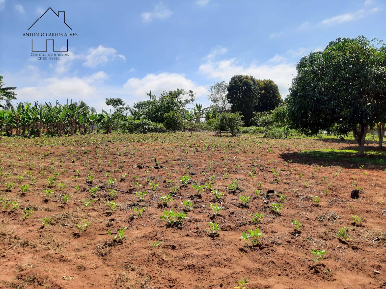 Fazenda à venda com 2 quartos, 128m² - Foto 34