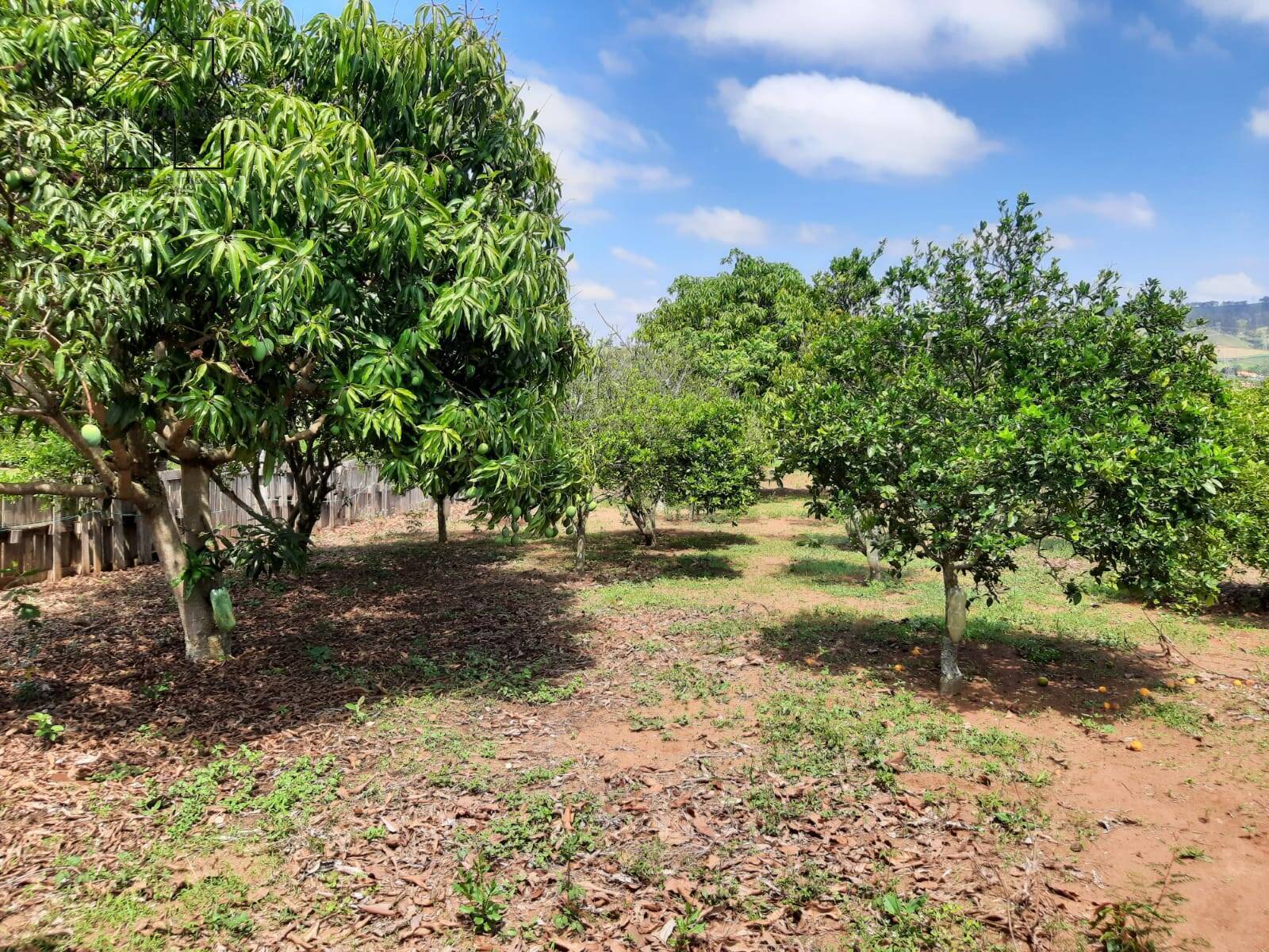 Fazenda à venda com 2 quartos, 128m² - Foto 32