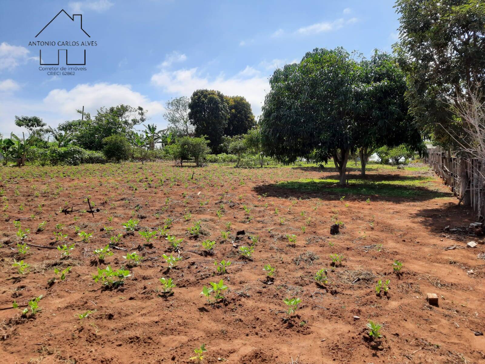 Fazenda à venda com 2 quartos, 128m² - Foto 35