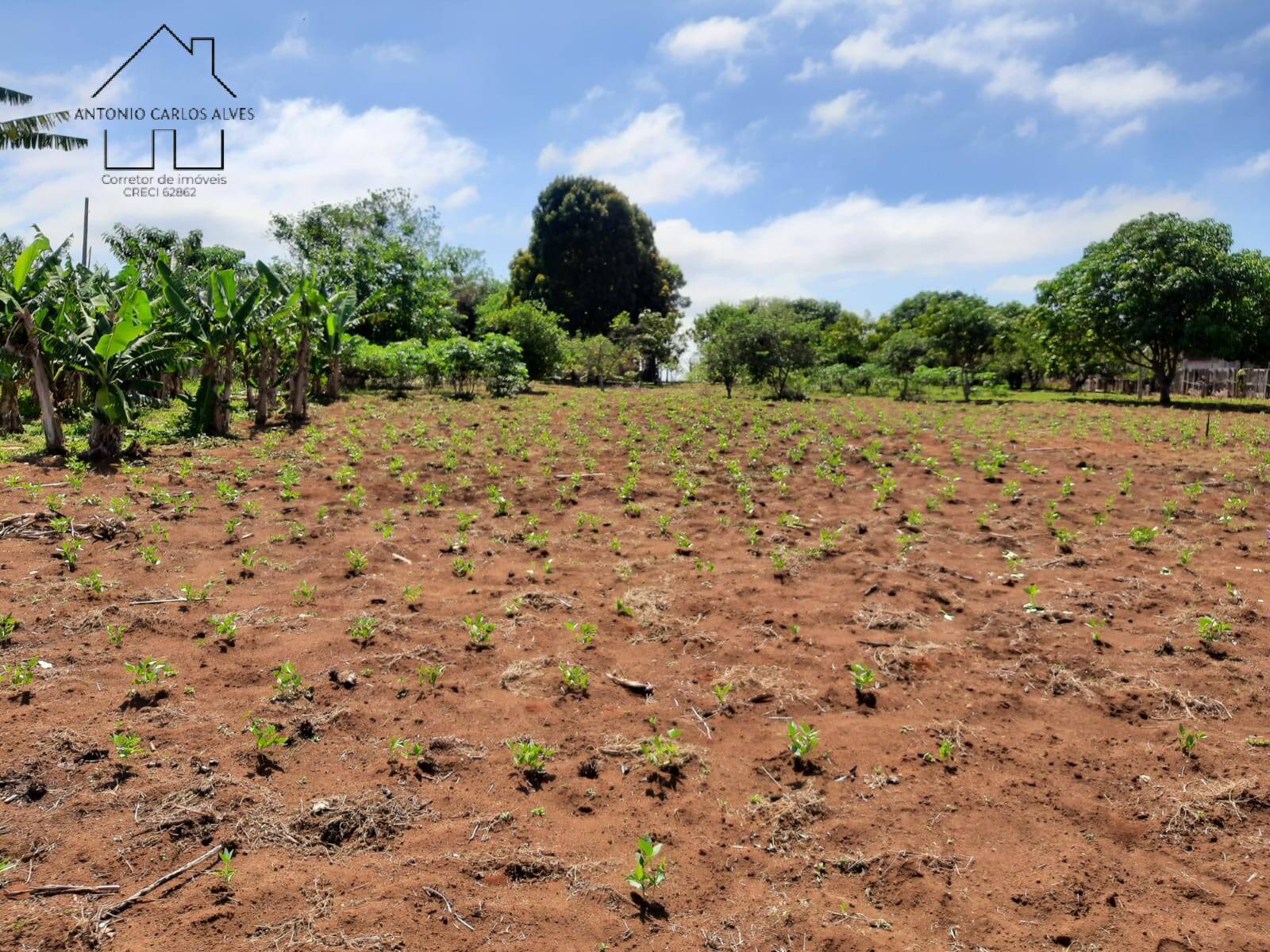 Fazenda à venda com 2 quartos, 128m² - Foto 37