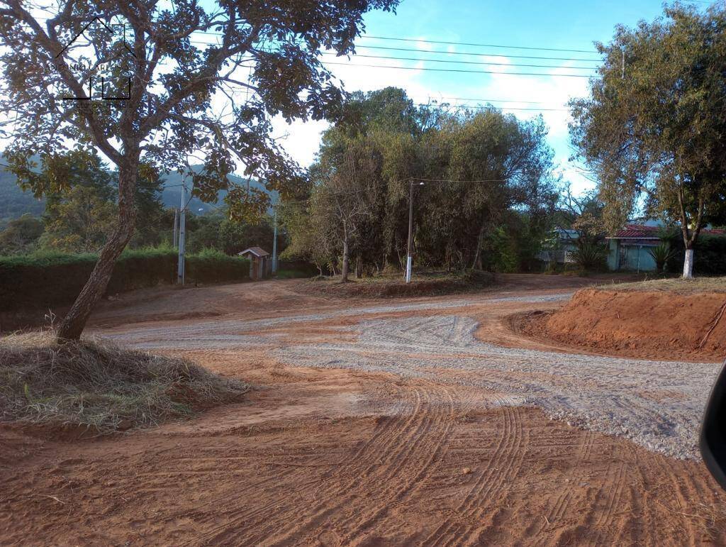 Fazenda à venda com 8 quartos, 600m² - Foto 30