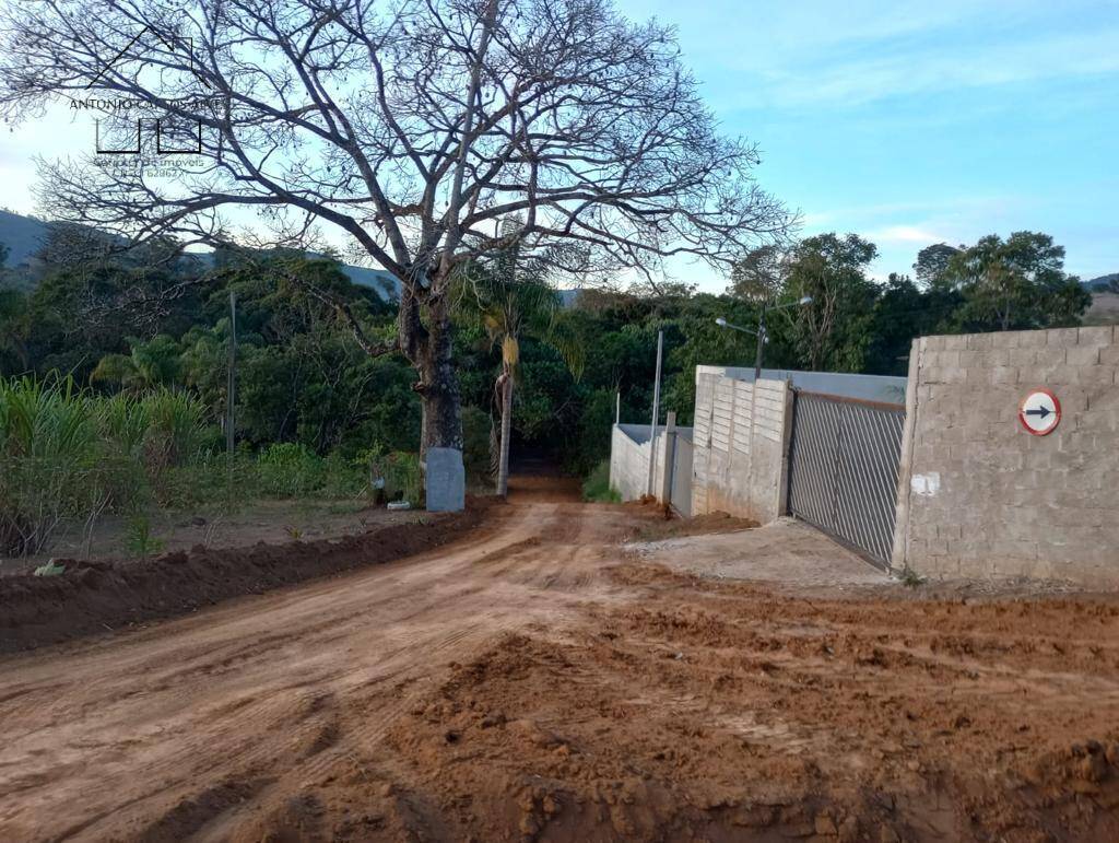 Fazenda à venda com 8 quartos, 600m² - Foto 29