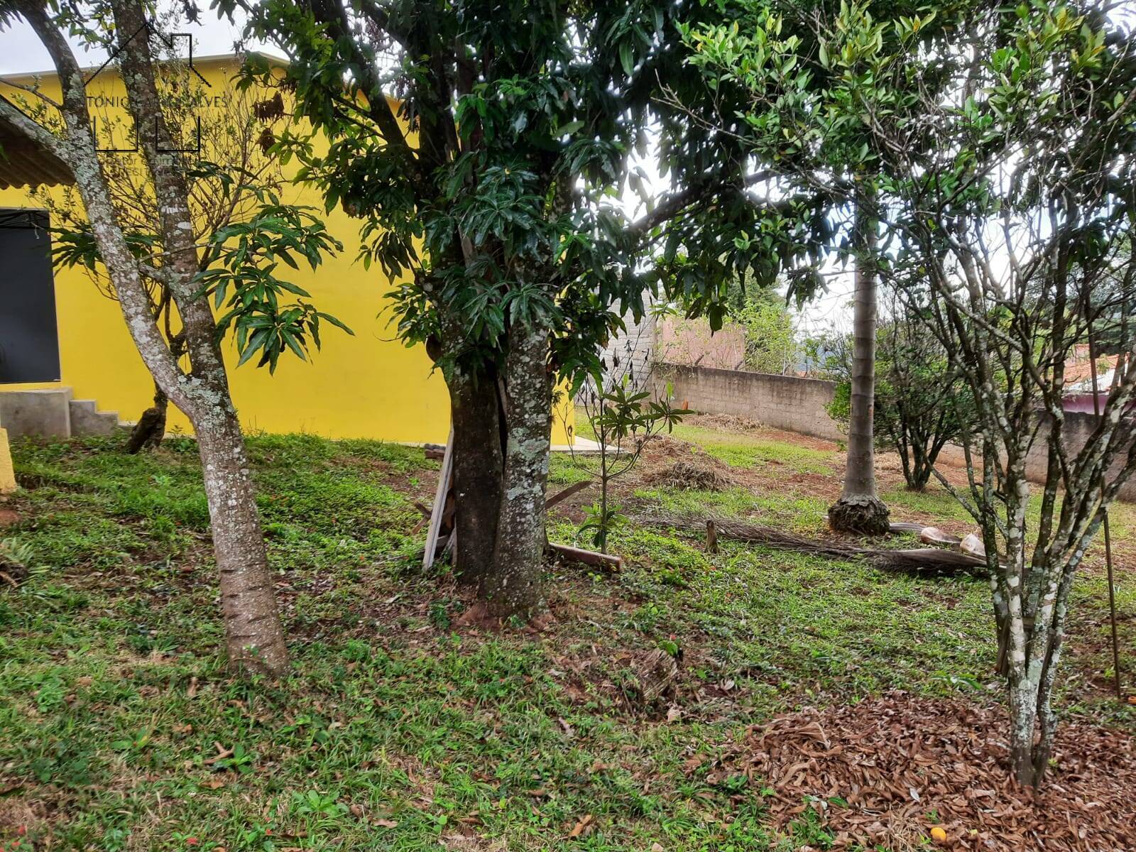 Fazenda à venda com 3 quartos, 281m² - Foto 19