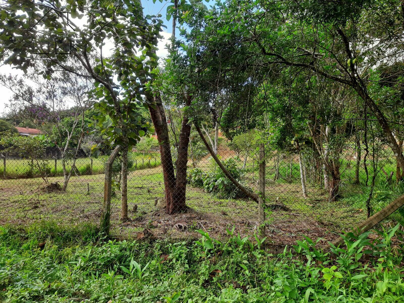 Fazenda à venda com 2 quartos, 121m² - Foto 37