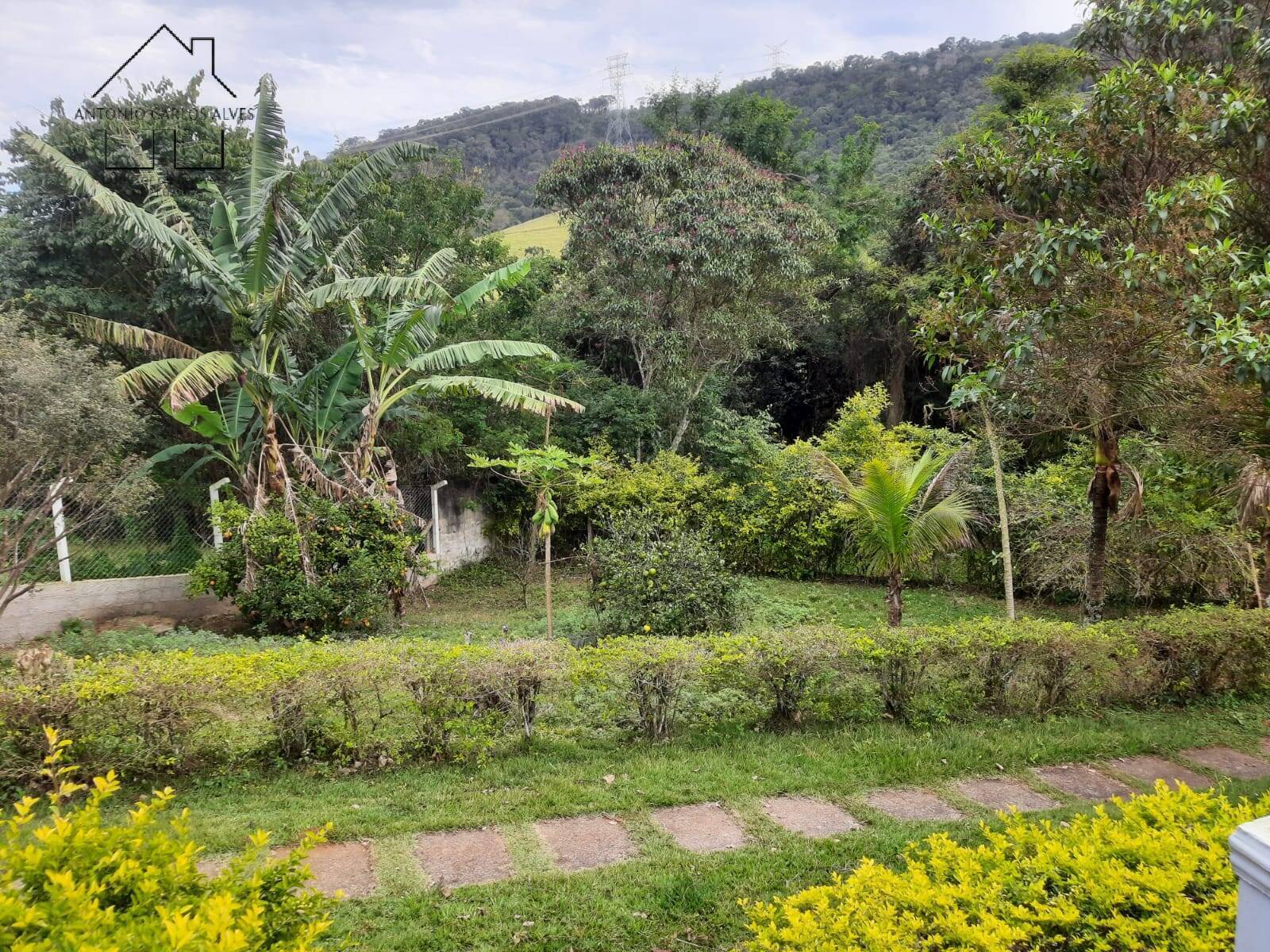 Fazenda à venda com 3 quartos, 300m² - Foto 16