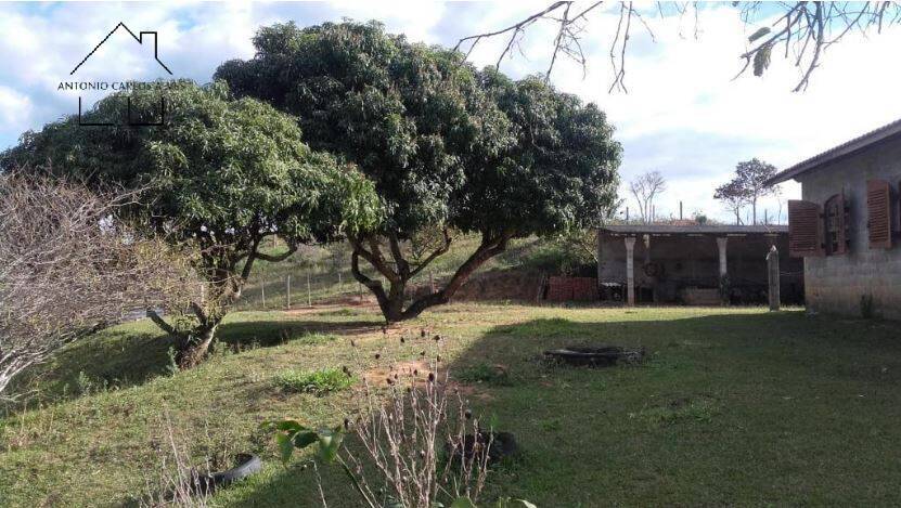 Fazenda à venda com 3 quartos, 240m² - Foto 45