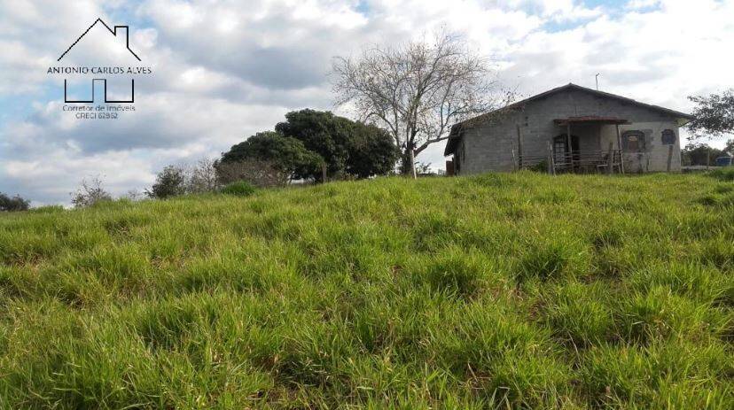 Fazenda à venda com 3 quartos, 240m² - Foto 4