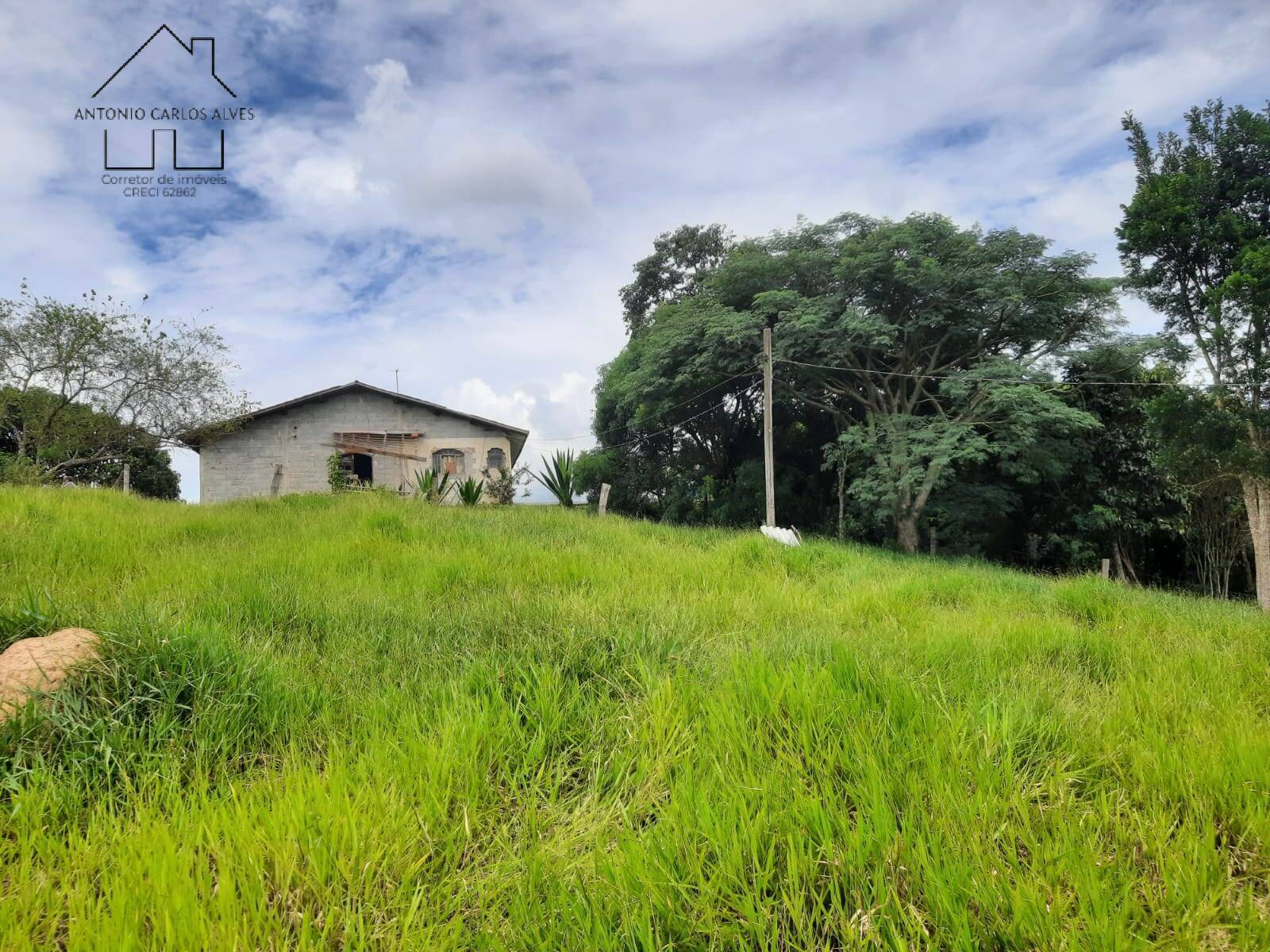 Fazenda à venda com 3 quartos, 240m² - Foto 6