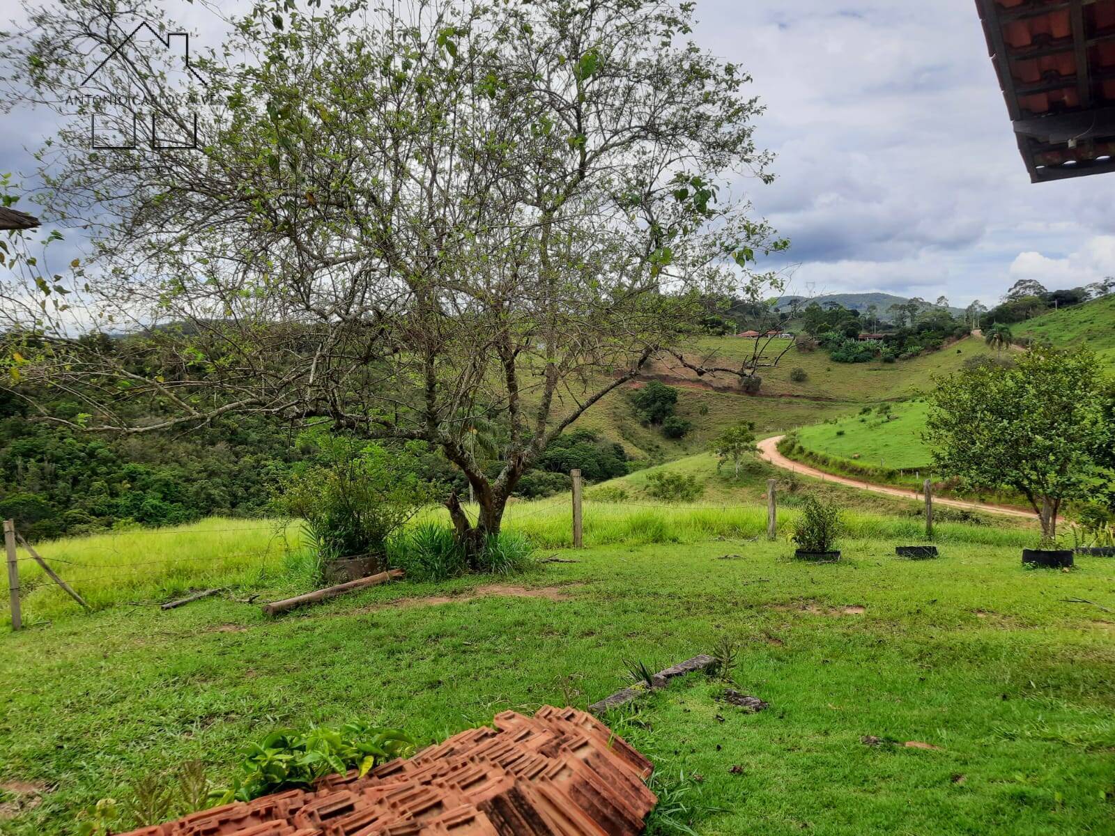 Fazenda à venda com 3 quartos, 240m² - Foto 55