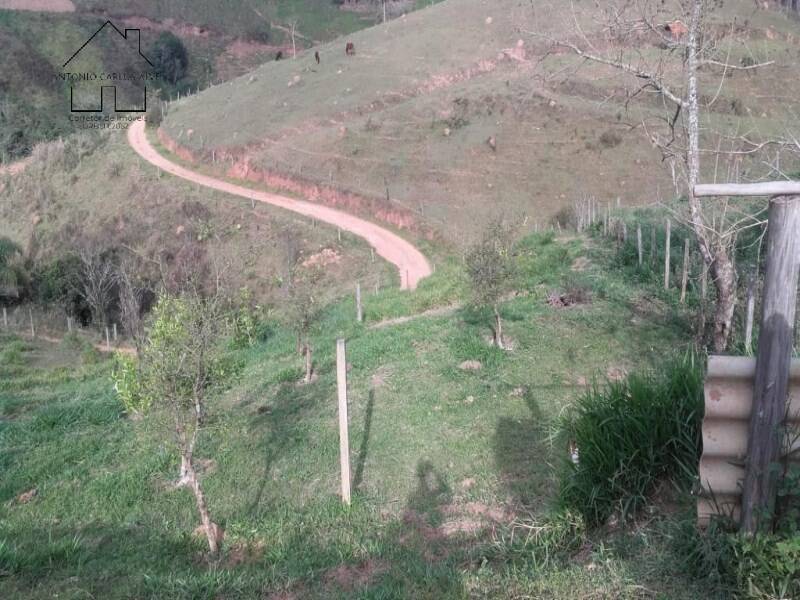 Fazenda à venda com 3 quartos, 240m² - Foto 54