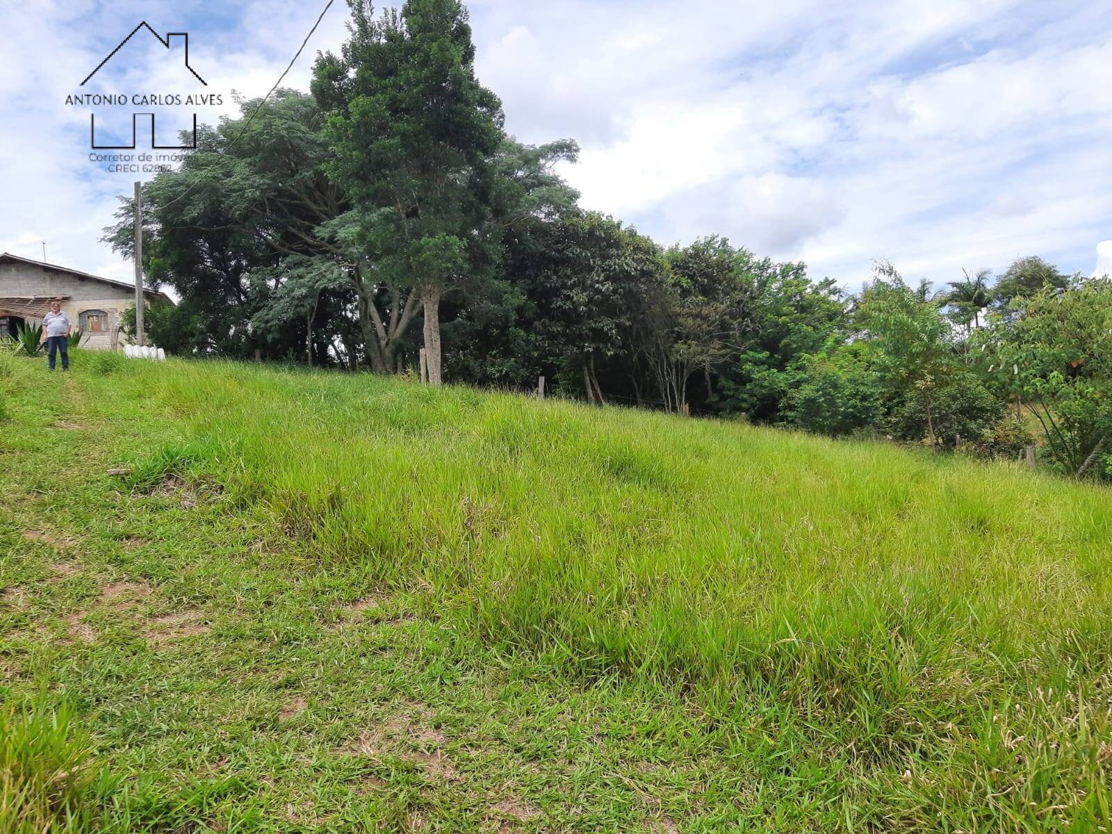 Fazenda à venda com 3 quartos, 240m² - Foto 56