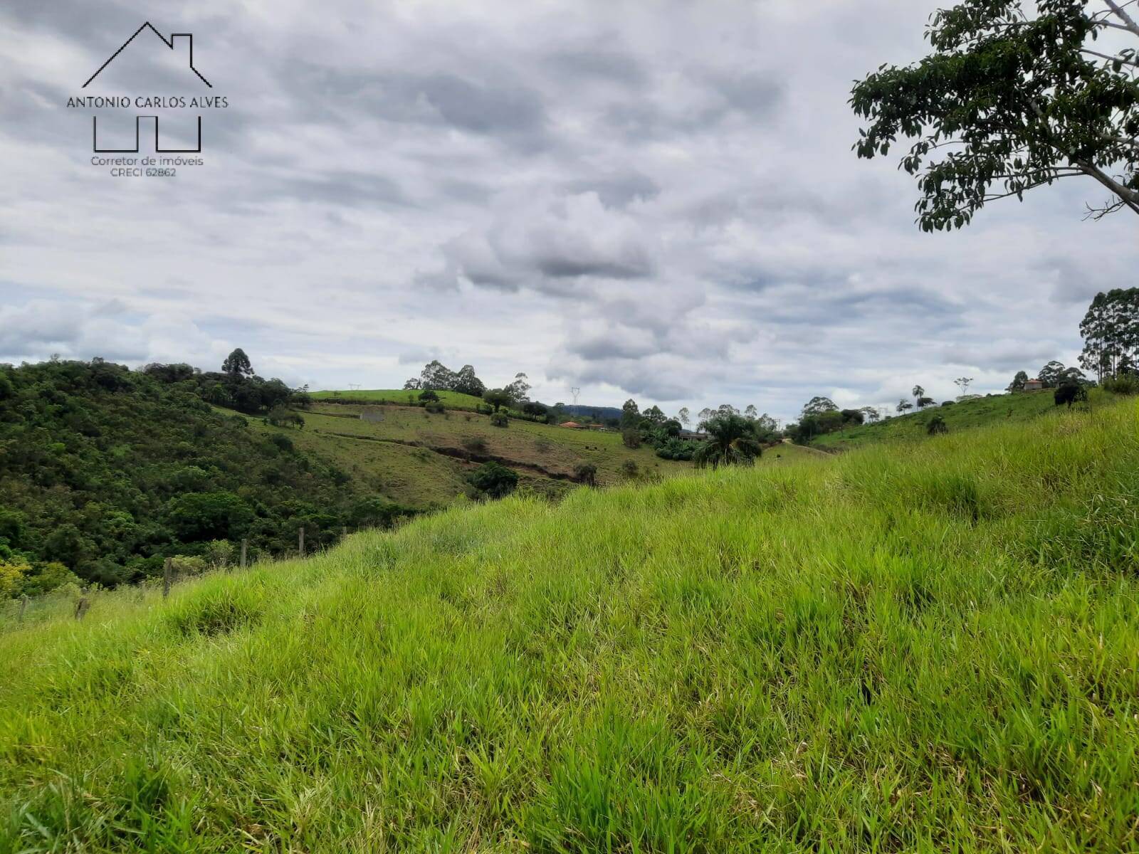 Fazenda à venda com 3 quartos, 240m² - Foto 57