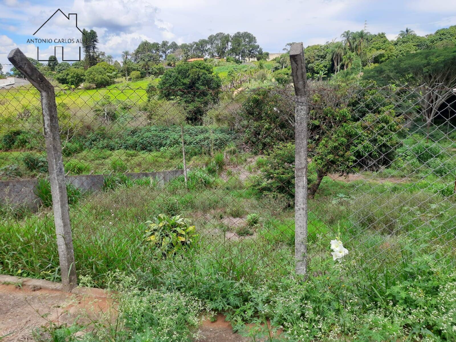 Fazenda à venda com 3 quartos, 260m² - Foto 53