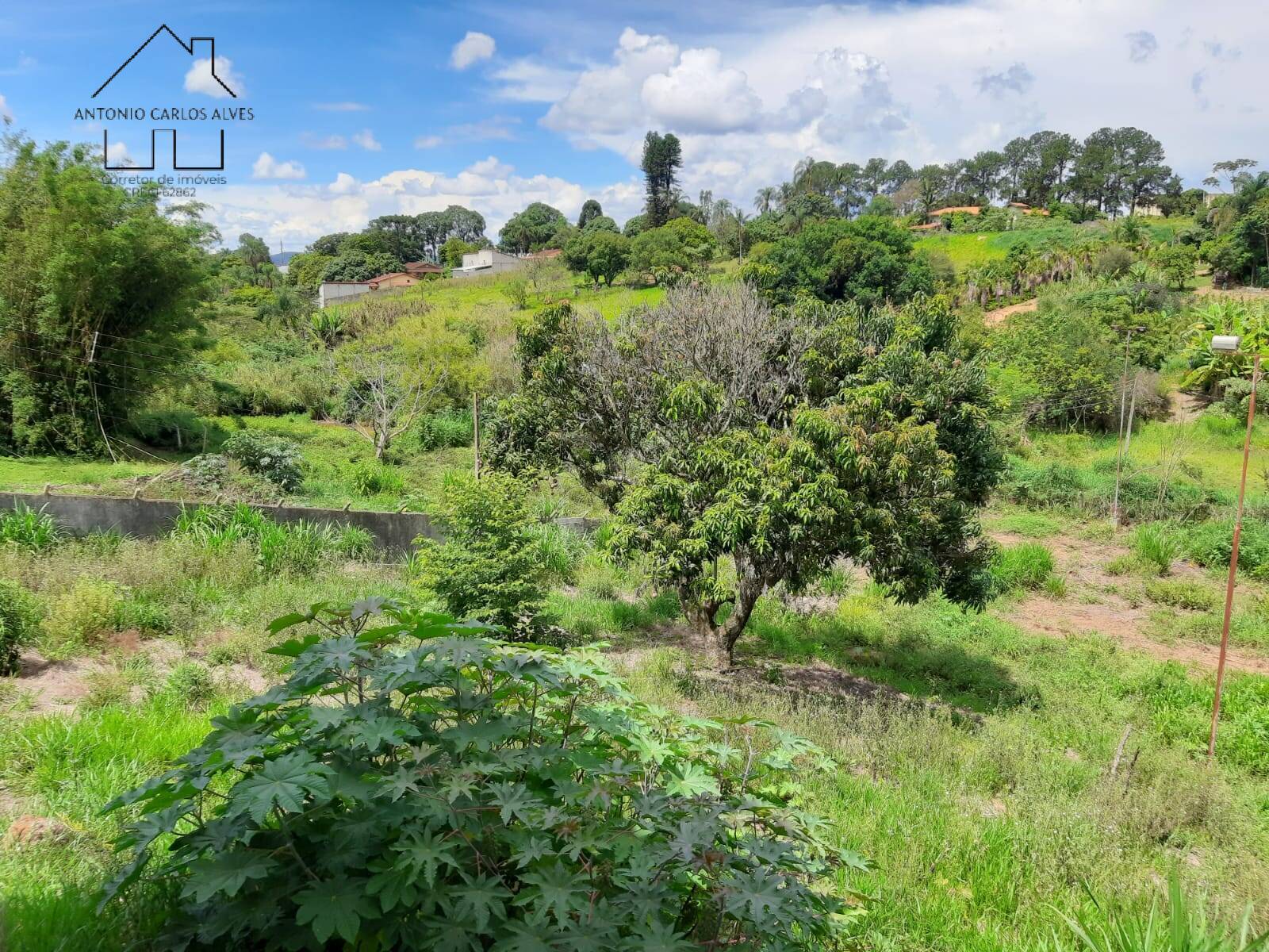 Fazenda à venda com 3 quartos, 260m² - Foto 56