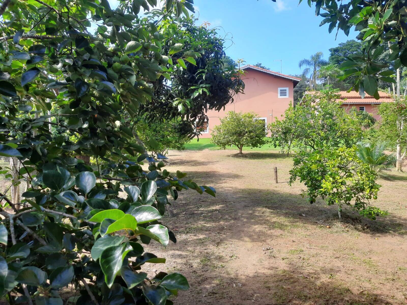 Fazenda à venda com 3 quartos, 135m² - Foto 33