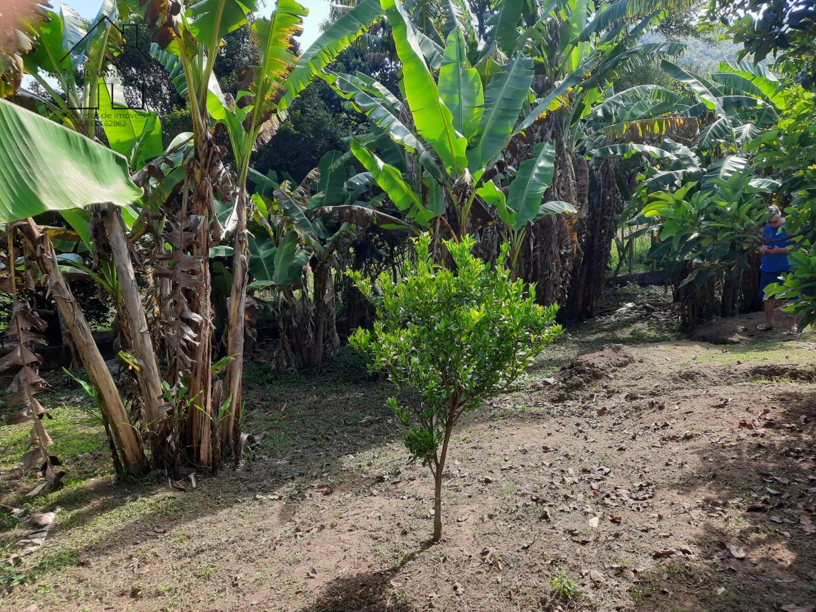 Fazenda à venda com 3 quartos, 135m² - Foto 34