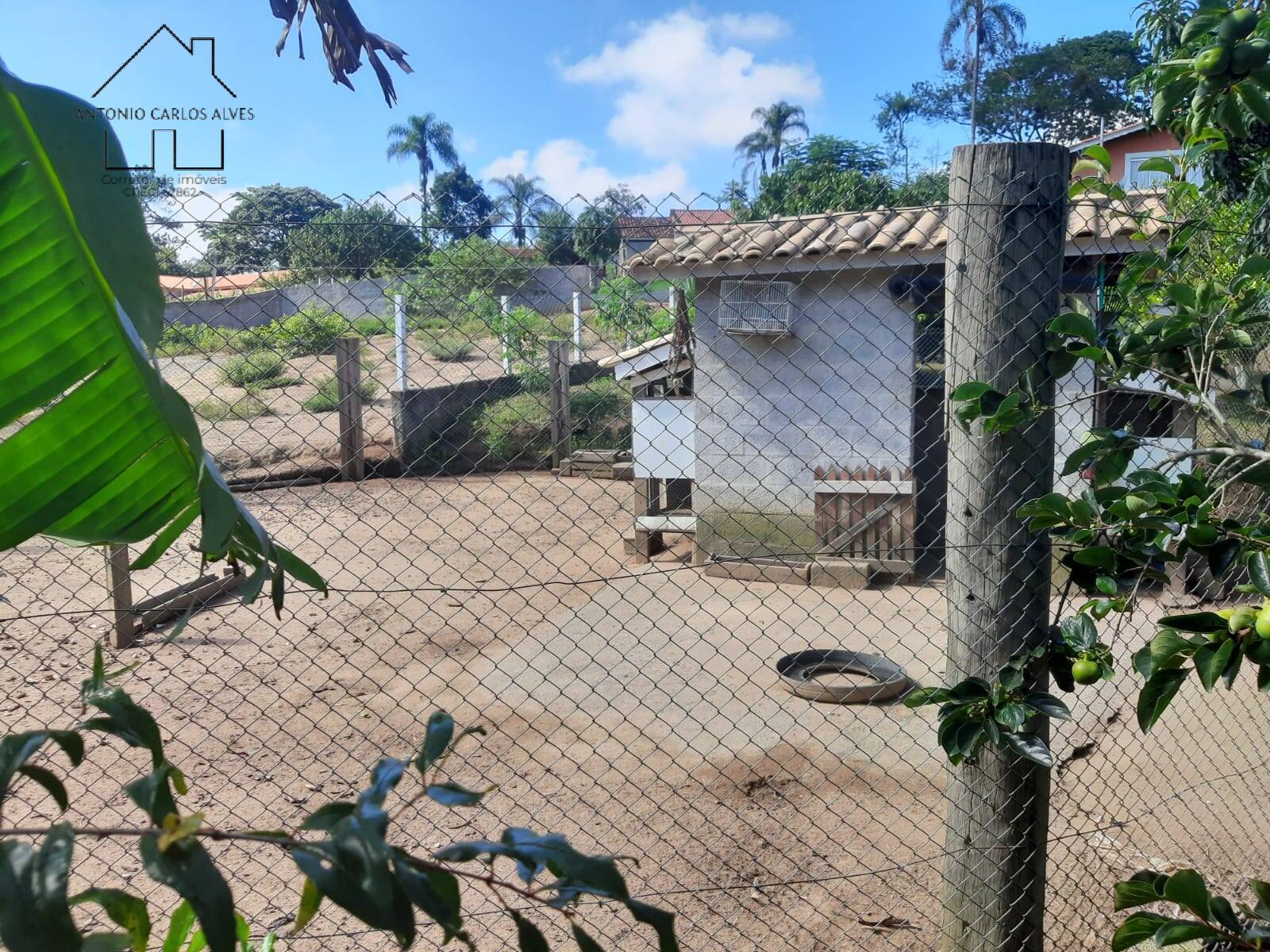 Fazenda à venda com 3 quartos, 135m² - Foto 40