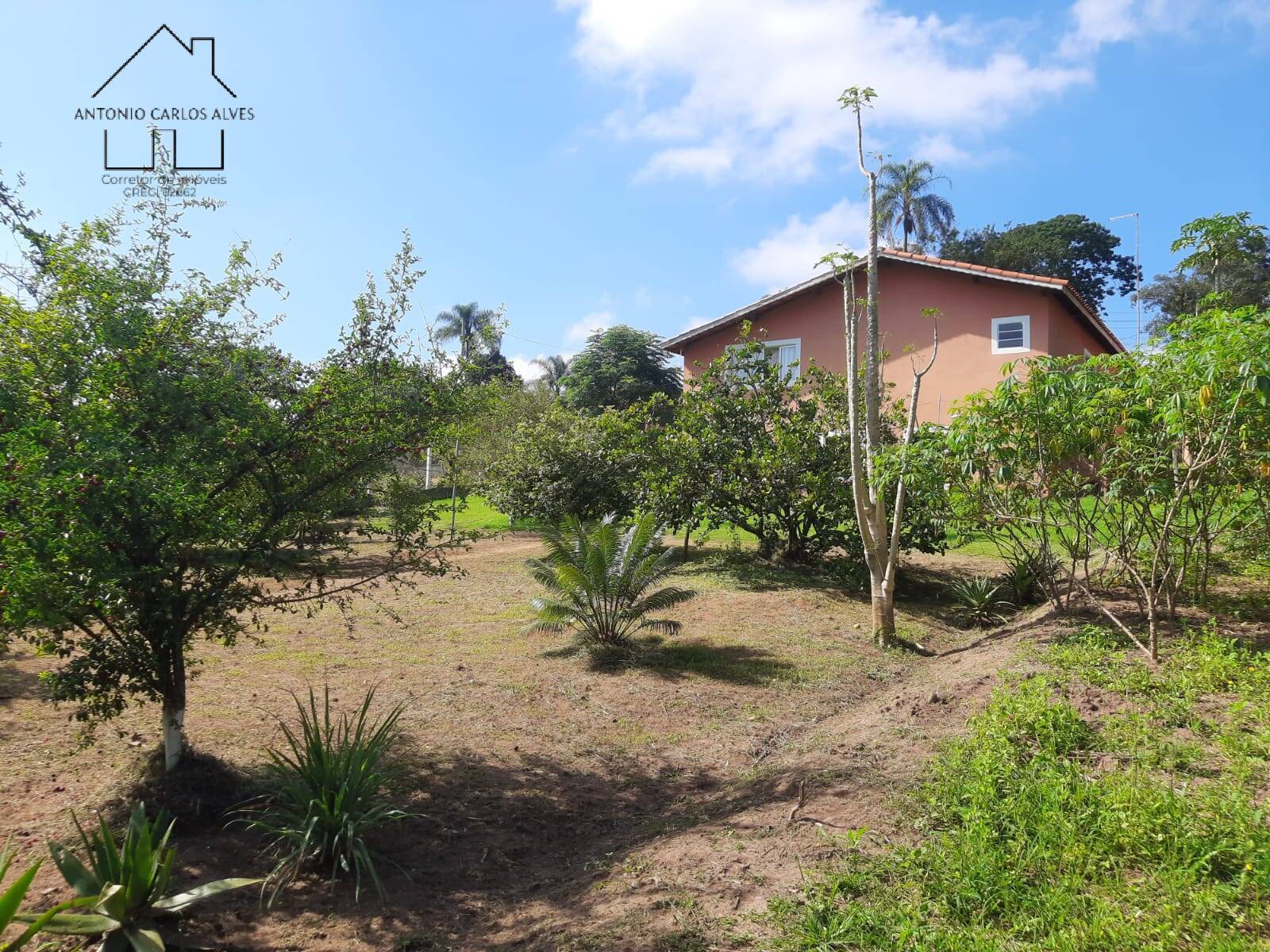 Fazenda à venda com 3 quartos, 135m² - Foto 37