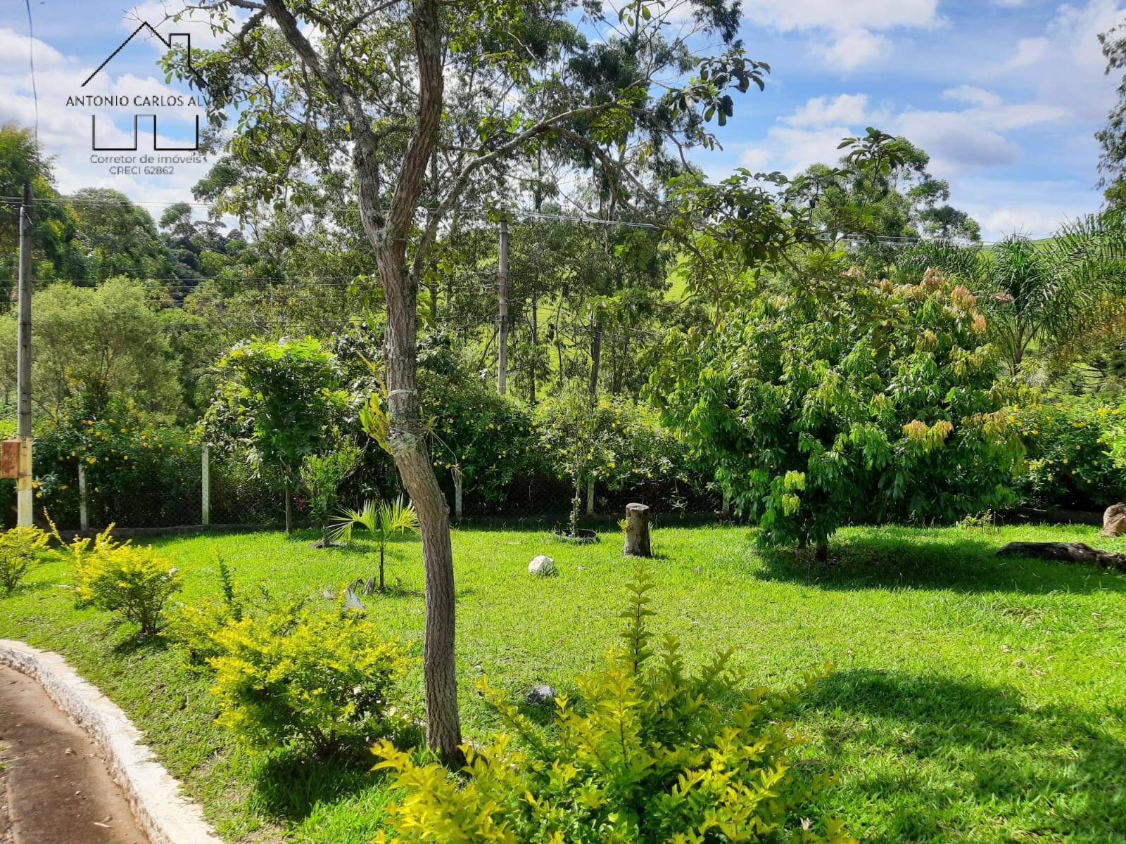 Fazenda à venda com 4 quartos, 127m² - Foto 50