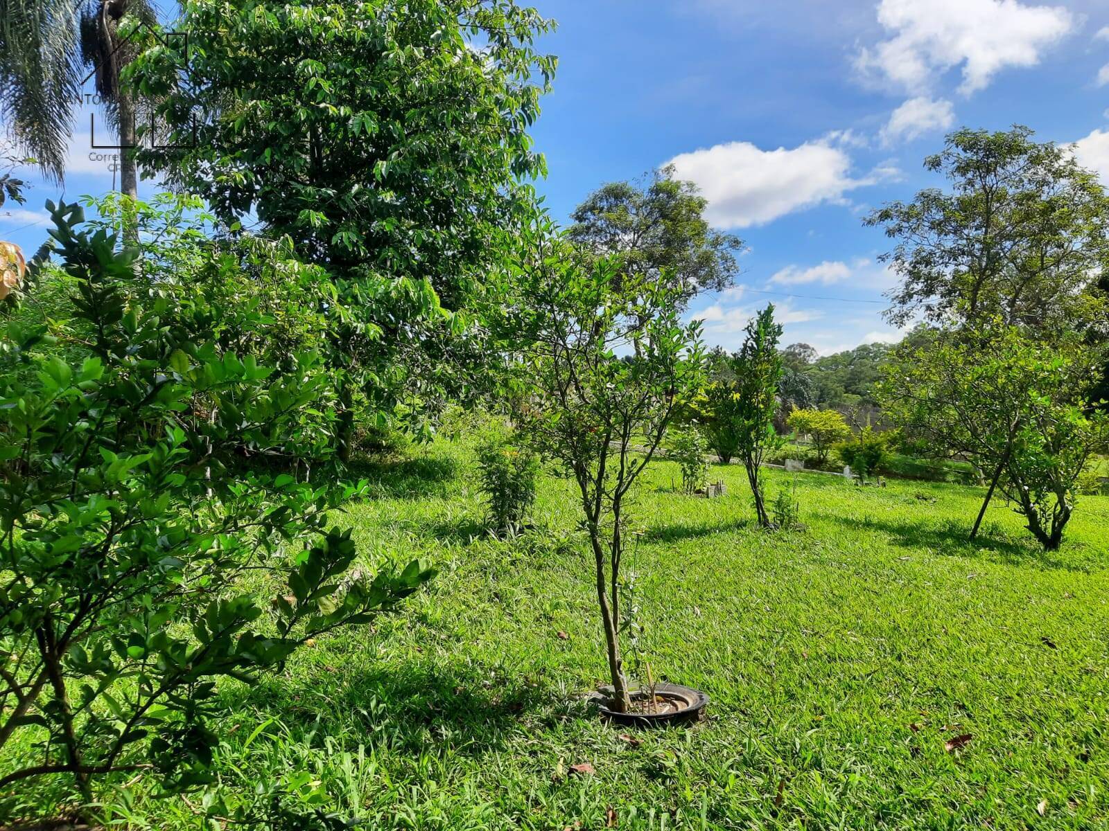 Fazenda à venda com 4 quartos, 127m² - Foto 52