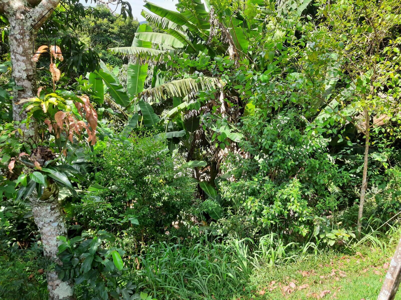 Fazenda à venda com 4 quartos, 127m² - Foto 57