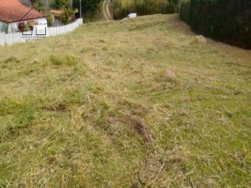 Terreno à venda, 2001m² - Foto 4