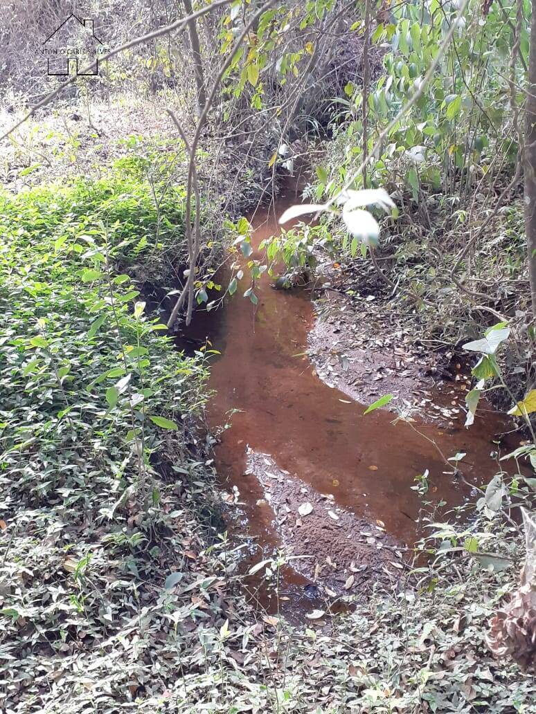 Fazenda à venda com 6 quartos, 180m² - Foto 27