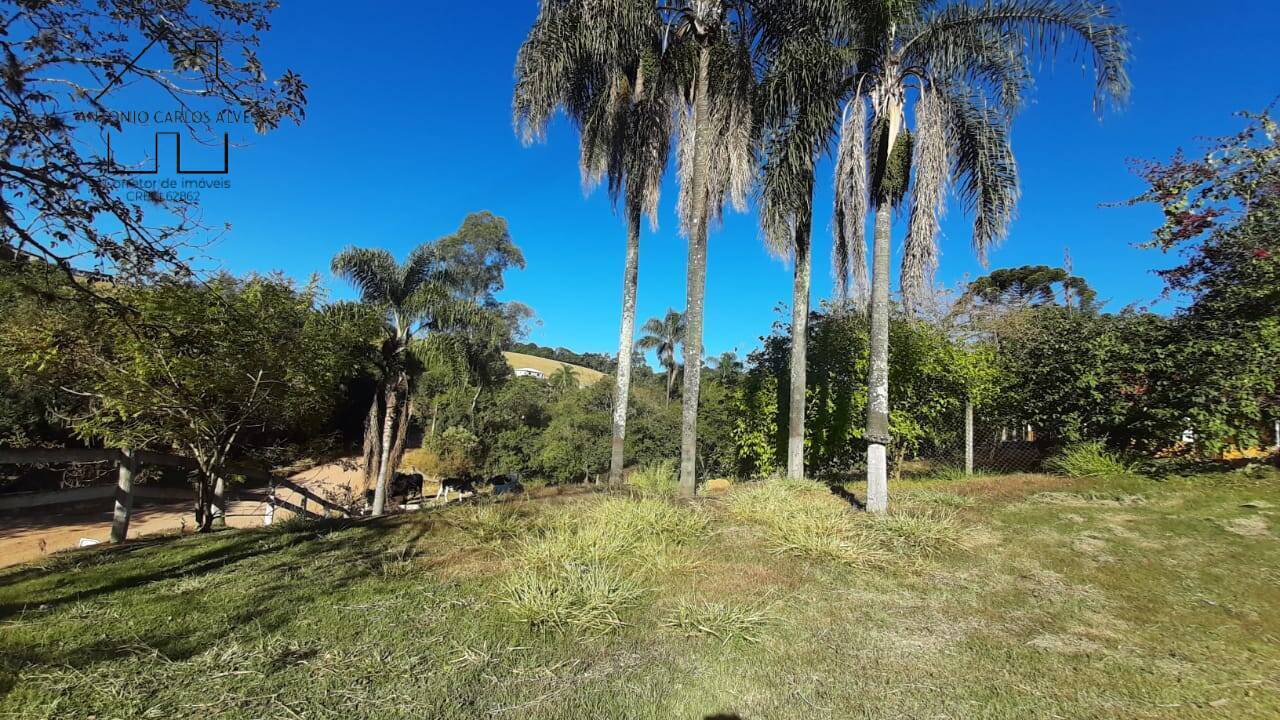 Fazenda à venda com 6 quartos, 180m² - Foto 36